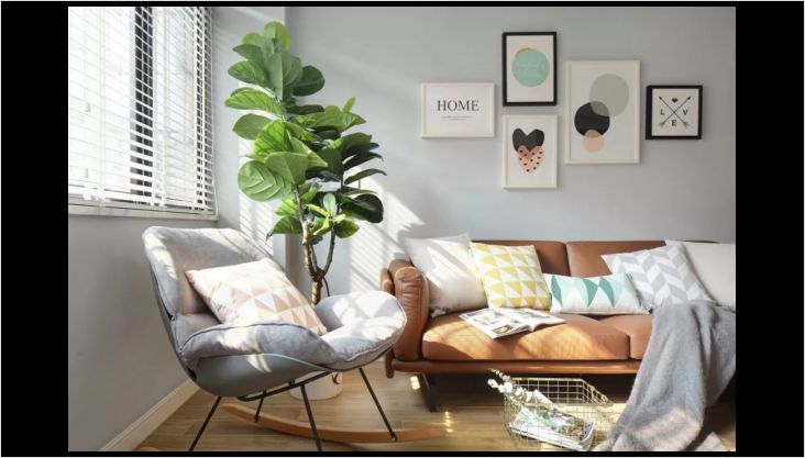 新家怎么除甲醛，不容忽视