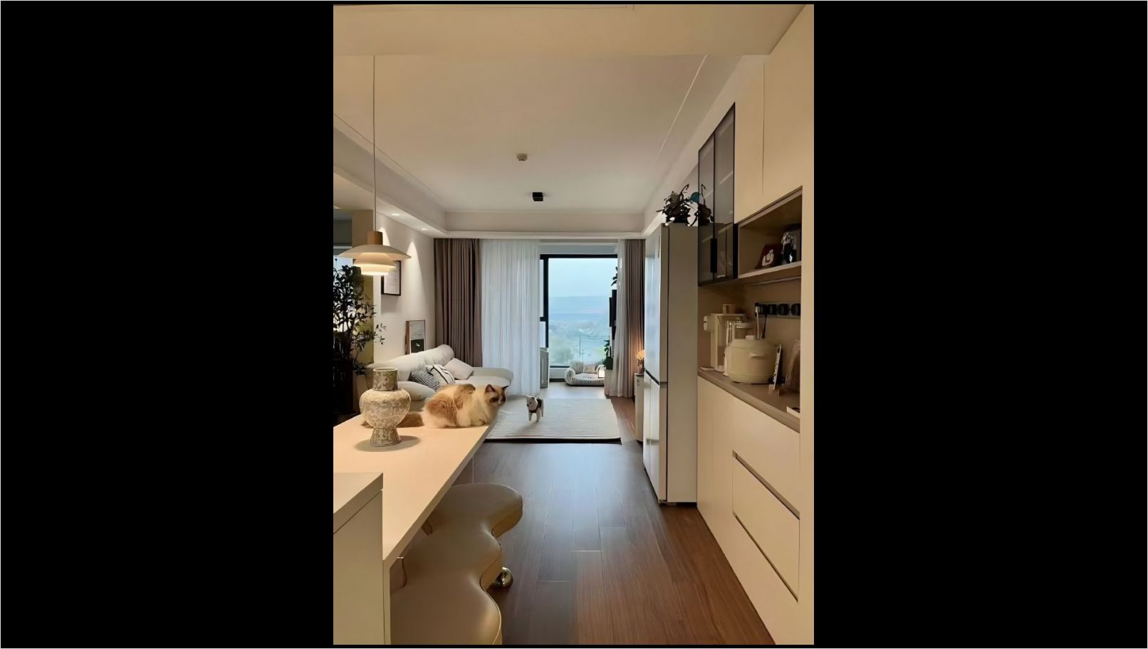 0ba1db318946d2ee08c710338dda603(1)